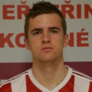 R. Dedic