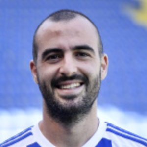 M. Raickovic