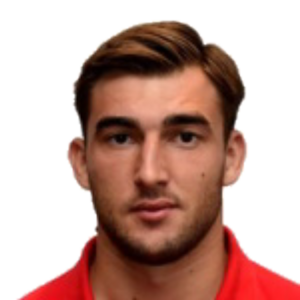 L. Malesevic
