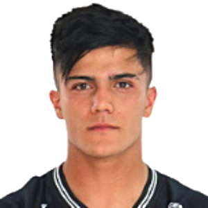 A. N. Tello Cabrera