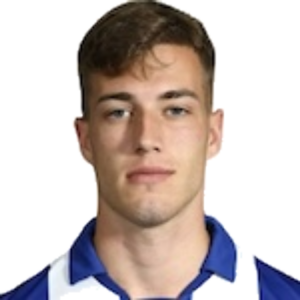 Luka Sučić