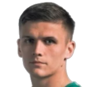 M. Plotnikov