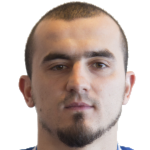 F. Salčinović