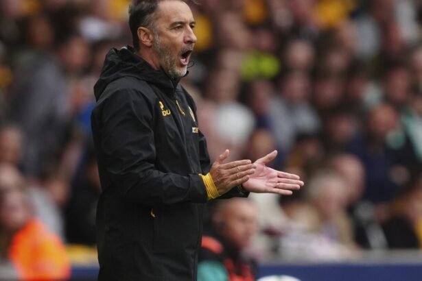 vitor pereira for wolves