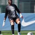 nnadozie for brighton