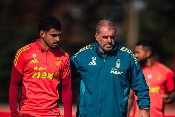 gibbs-white and postecoglou