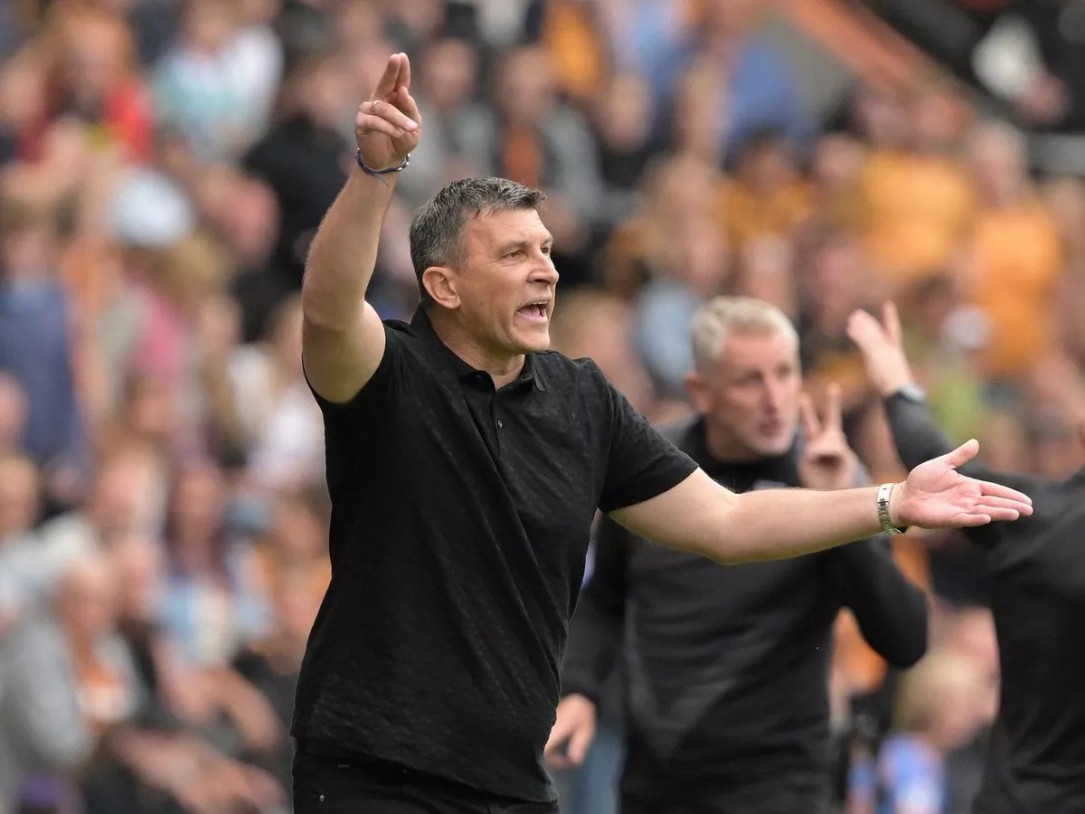 sergej jakirovic at hull city 
