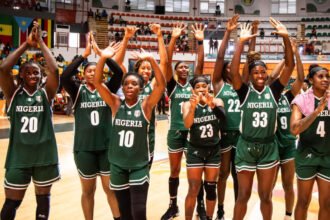 d’tigress in action