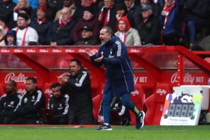nottingham forest head coach vitor pereira