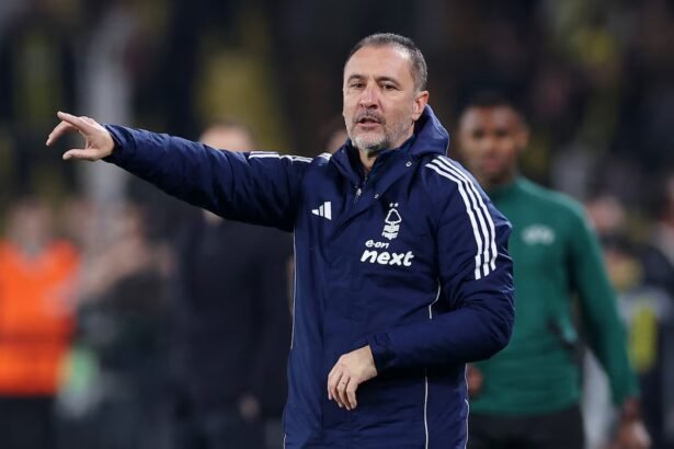 nottingham forest manager vitor pereira
